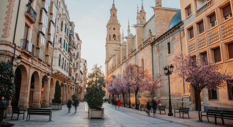 Calle Portales de Logroño con la Concatedral de La Redonda